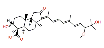 Globostellatic acid D